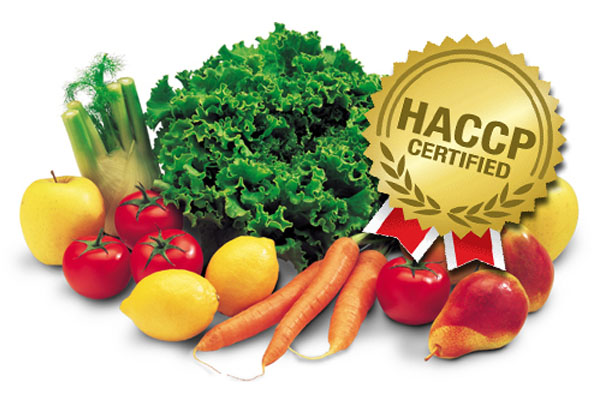 Consulenza Haccp